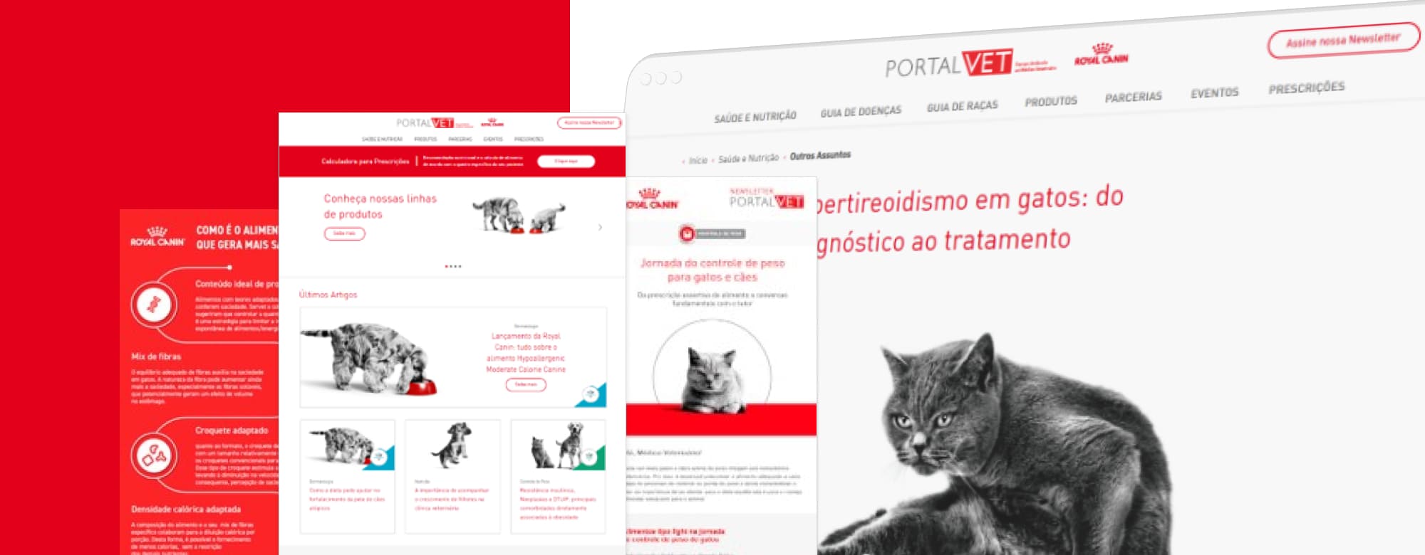 Case Royal Canin 2000 x 780 1